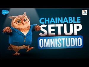 Chainable Setup Omnistudio -Step by Step Guide