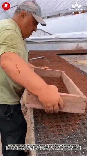 Seedbed Leveling: Manual Soil Preparation with Wooden Frame