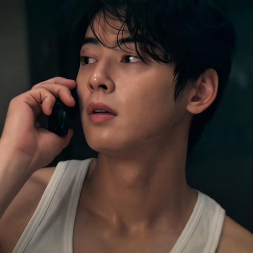 Cha Eun-woo Edit | The Wonderfools Kdrama