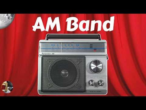 Todd's Realistic Portavision-60 AM FM TV Classic Radio Evening AM Chicago Area