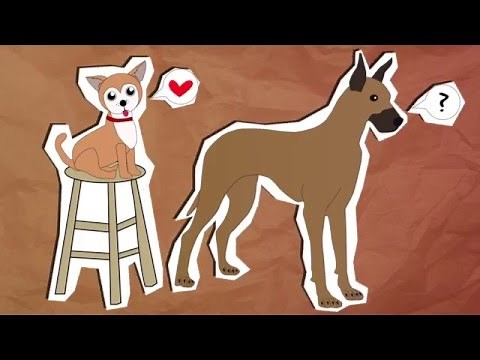 A Brief History of Dogs