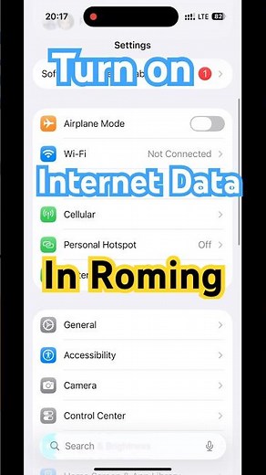 How to Turn on Internet Data in Roaming on iPhone  #Rominginternet #HowTo #Data #Iphone