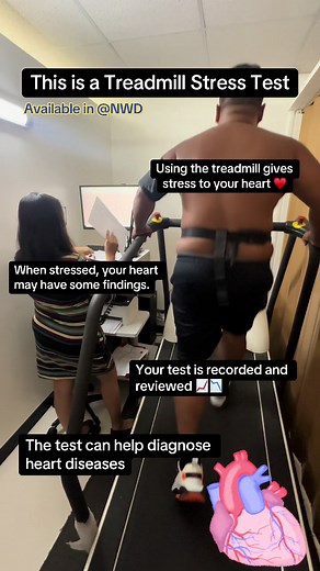 Understanding Your Treadmill Stress Test Results