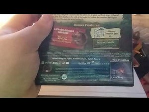 Up 2009 DVD Overview