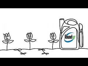 Draw The Line - Roundup Sure Shot Wand with Roundup For Lawns Tag 30s