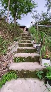 137K views · 2.4K reactions | @organicfarmhousekapan  . A place...