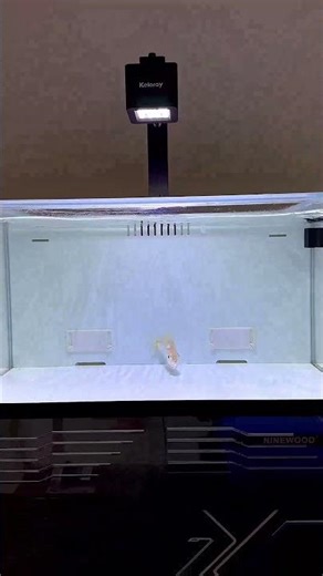G160 on freshwater tank~