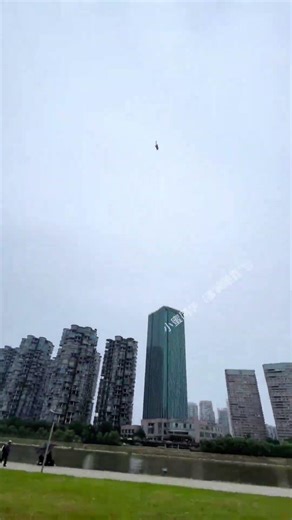 You Promised Treats for Flying, Right? 🍪 #SugarGlider #PetTraining #CutePets
