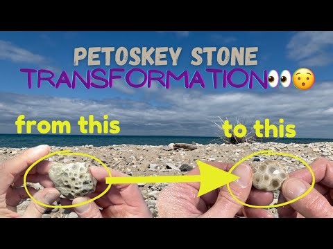Polishing a Petoskey Stone - Deep Pits to Smooth as Glass