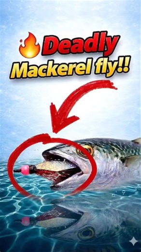 🔥Deadly mackerel fly !!