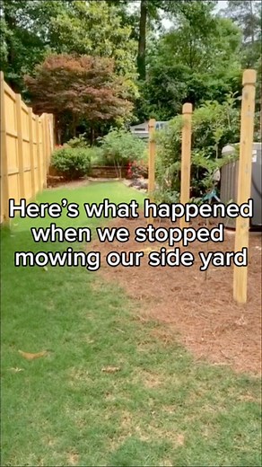This is one of my favorite spaces to sit and reflect these days. This was such a great project and is so much more beautiful than that weird grass strip that was previously there.I’m planning on picking up a few more stepping stones for the path (note: always add 20% more than you think you need 🙈).The perennials selected by @servescape are still looking so fabulous 💕 so far — this is truly a long-blooming stunner. The only thing I may add is some bulbs this fall for early spring interest 👌 I