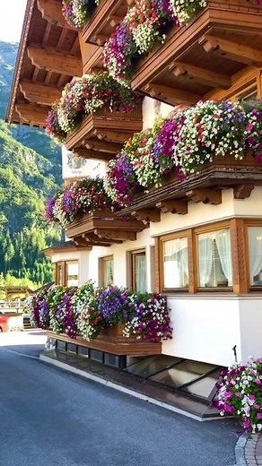 Exploring Beautiful Austria in the Summer