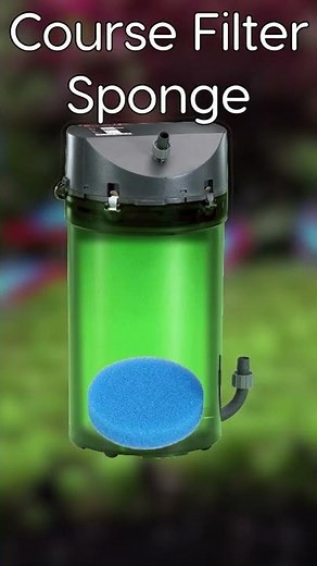 How To Correctly Order Filter Media in a Canister Filter
