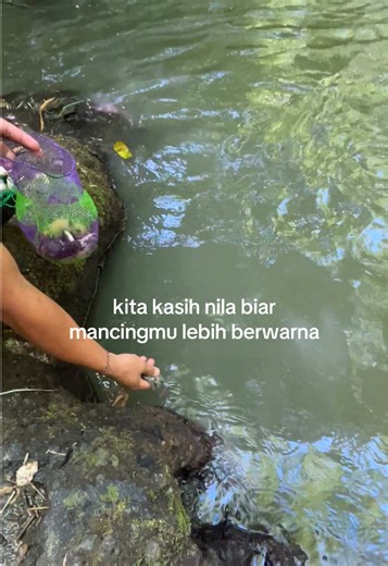 Tips Memancing Seru di Banyuwangi