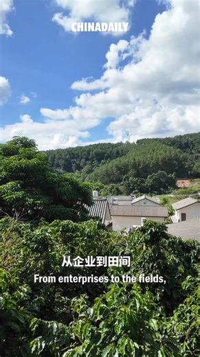 From Kunming to Vientiane, the #ChinaLaosRailway is more than just a train ride, it's an expressway to new experiences and two-way collaboration. Travelers praise it for being smooth and affordable, while businesses see it as a gateway to faster, smarter trade. Since its launch, cross-border traffic has surged — reshaping daily life and regional ties along the way. #ChinaRailway #CRvideo | China Railway