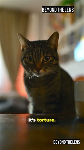 98% of Cat Owners Are Making This Deadly Litter Box Mistake 😿