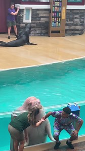 1.7M views · 17K reactions | SPLASHED BY A BIG WALRUS!!! #seaworld #seaworldorlando #seaworldparksandentertainment #sea world parks #visitorlando #visitflorida #orlandoflorida #orlando #florida #amusementpark #themepark #funny #fun #walrus #splash #Splashed | Adventures That ROCK | Facebook