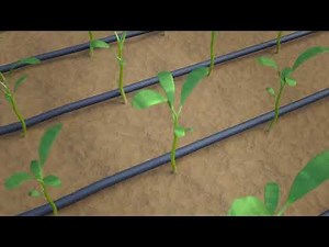 how nematodes damage plants givefastlink