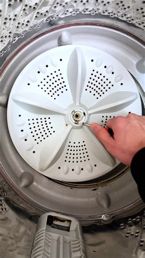 Quick Pet Laundry Fix for Bedding and Toys