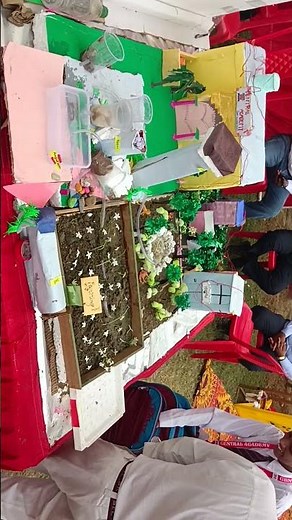 Water purification plant #science #project #shorts