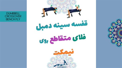 قفسه سینه دمبل فلای متقاطع روی نیمکت Dumbbell Crossover Bench Fly