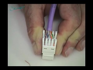 Giganet 180 Degree Cat6 U/UTP Module Termination