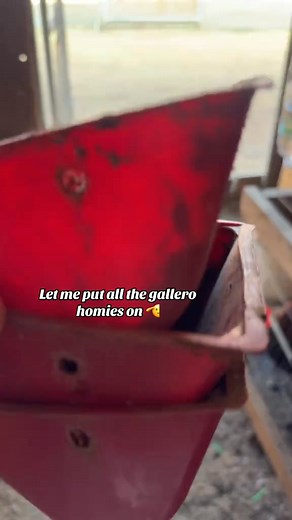 Tired of refilling dirty water pans every day? Meet the Automatic Chicken Waterer Cups — a clean, hands-free way to keep your flock hydrated 24/7. ✅ Auto refills when your chickens drink ✅ No mud, no mess, no stress ✅ Easy to install on any bucket Your coop will never be the same again! 👉 Keep your flock healthy — get yours today! | Sewingroam