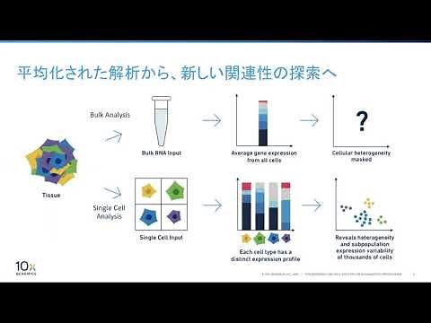 01 シングルセルへようこそ