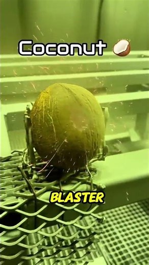 What Happens When You Blast a Coconut? Sandblaster Machine.
