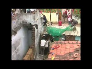 Un léopard sème la panique dans un village en Inde