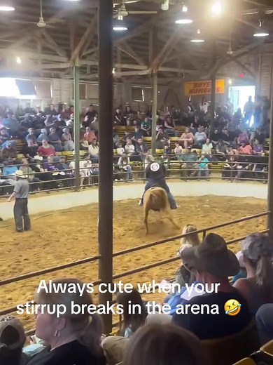 Hilarious Horse Saddle Fail at Dixie Horse Auction