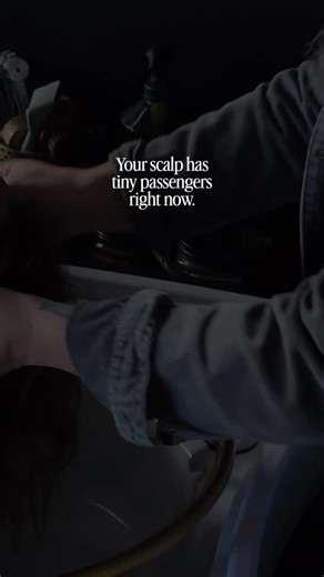 Right now, as you’re reading this… there are microscopic mites living inside your hair follicles. Not on your scalp. In it. And before you spiral, this is completely normal. Every human has them. They move in within the first few weeks of life and your immune system keeps them totally in check. You’ve never felt them. You never will. Under normal conditions, they’re just… there. But when your hormones shift, your stress spikes, or your immune system gets overwhelmed… their population explodes. A