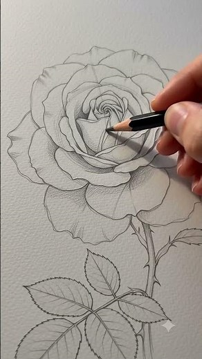 Realistic Rose Drawing Tutorial for Beginners 🌹✍️ #asmr #sketch #shorts