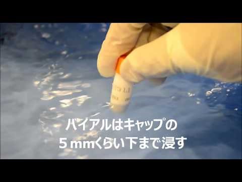☆CELLBANKER_凍結細胞の解凍