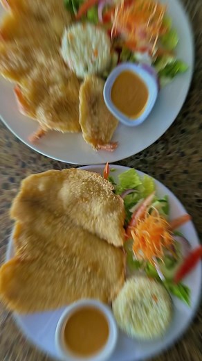 Contamos con gran variedad de platillos para todos los gustos, ¿Qué esperas para venir a visitarnos?😋🐠🍤🏖️ #restaurantealex #mariscofresco #playa #comida #camaron #pescado