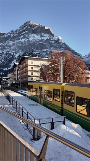Grindelwald Train Journey: Experience Swiss Winter Magic