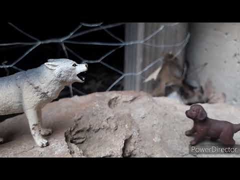 Star pack ep1 (schleich wolf/dog films)