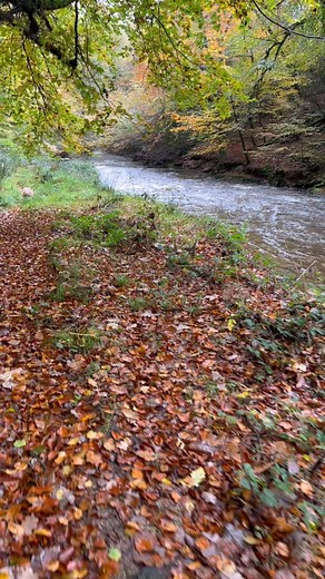 Following heavy rain for several days I had to be completely...