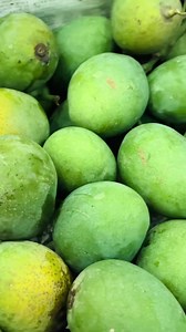 9.2K views · 350 reactions | You can order mangoes from Chapai Mango Store省 Their mangoes are yummy…凉 | Dristy Anam | Facebook