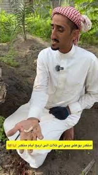 حفار ساق النخيل
