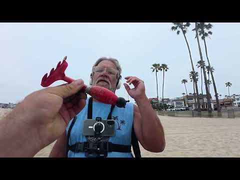 Metal detecting the beach with a rare and strange encounter