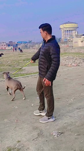 #dharmendradeepak #facebookviral #viewers #children #dog #dogslife #dogsofinstagram #doglover #dogphotography #doggrooming #pitbull #dogpitbull #pitbullsofinstagram | Dharmendra Kumar