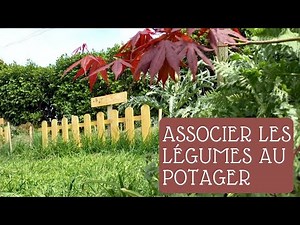 Association au potager