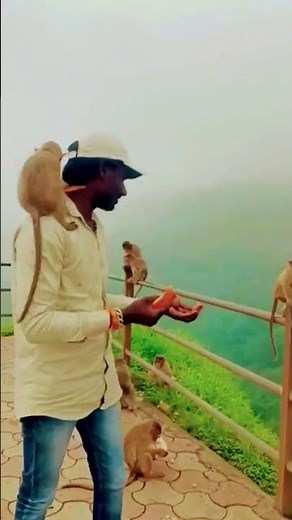 🙏🚩🚩🚩🚩🚩