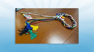 Literacy Shorts Literacy Shorts | Reading Rope