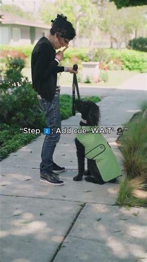 Teach Your Dog to ‘WAIT’ ⏸️ | Control Excitement in 3 Steps