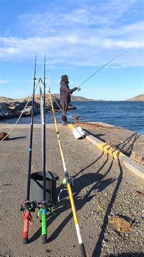 On the lures 🙌#theshorehunter #seafishing #ukbeachfishing #chesilbeach #codfishing #pouting #surfcasting #fishinglife #fishing #bristolchannel #rays #thornback #lurefishing #halibutfishing #lures | The Shore Hunter