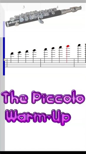 The Best Piccolo Warmup #piccolo #fluteplayers