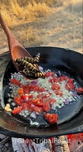 African Mopane Worms Cooking 🐛😳🔥 #tribalfood #wildfood