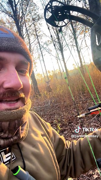 Essential Archery Techniques for Deer Hunting Success